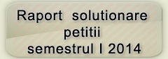Raport solutionare petitii