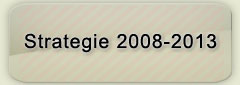 Strategie 2008 - 2013